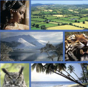 ���������. 6 �����