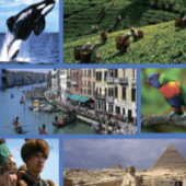  ���������. 5 �����