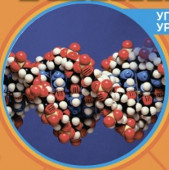 �����. 11 �����