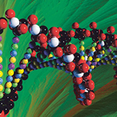 ��������. 10 �����