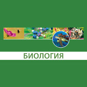 ��������. 10�11 ������