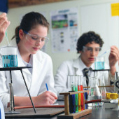 ��������������. 7 �����