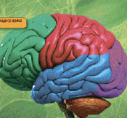 ��������. 9 �����