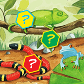 �������������� ���������� ��� ����� ������� ������